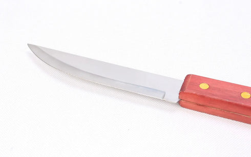BBQ Braai Knife